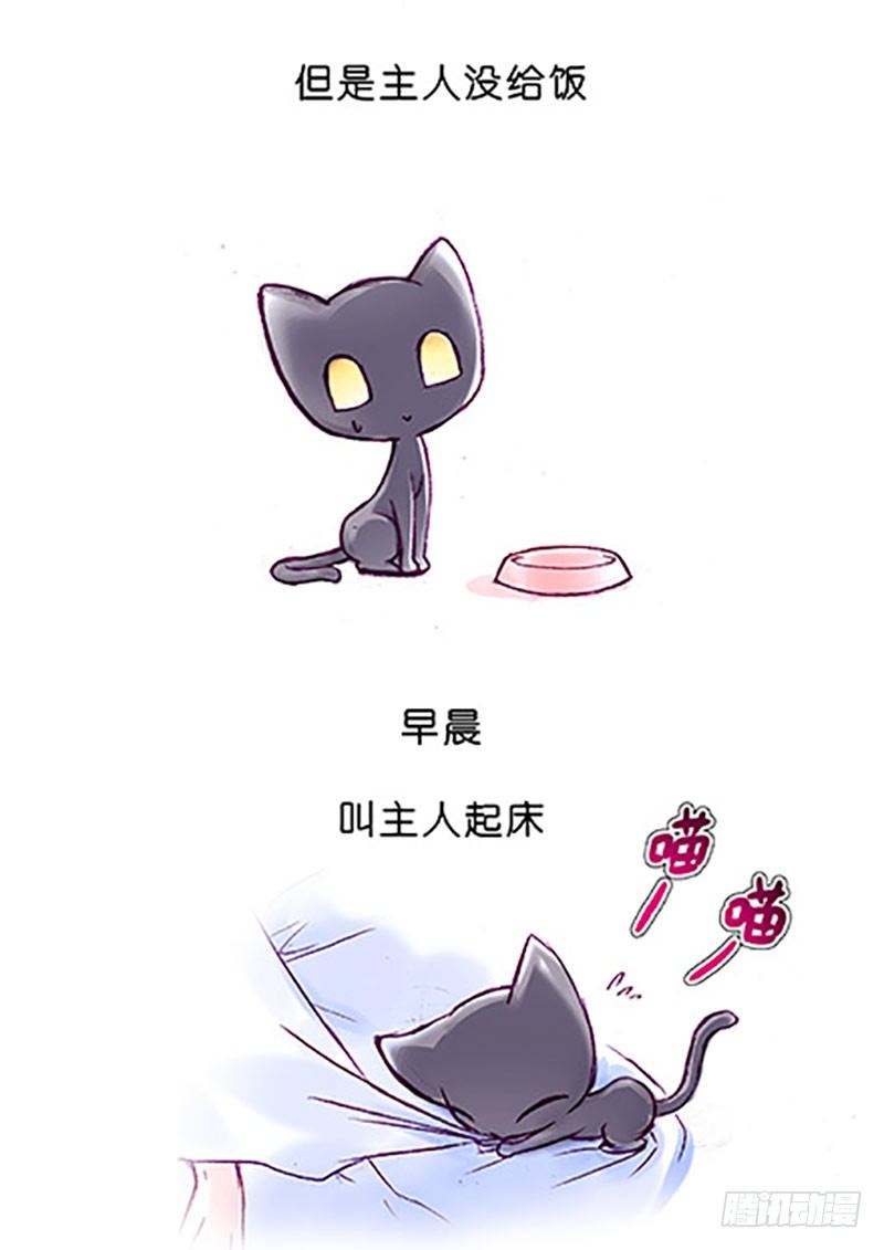 番外：飞星喵6-15合集21