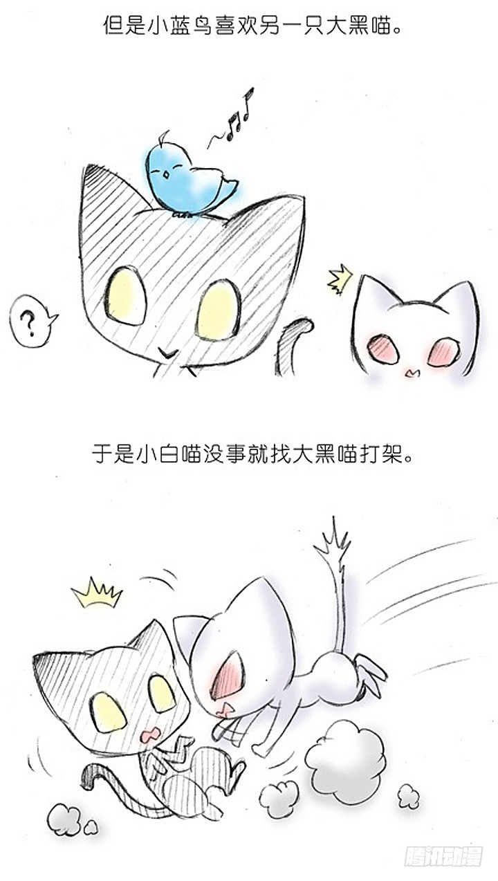 番外：飞星喵2.爲什麽不喜欢我？2