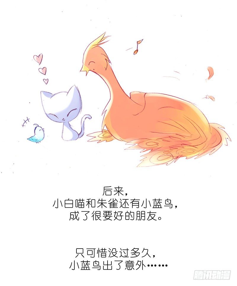 番外：飞星喵6-15合集44