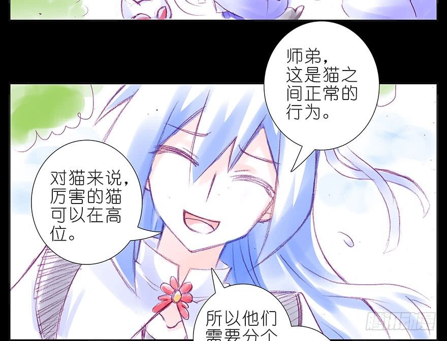 番外：忽然养只猫 八5