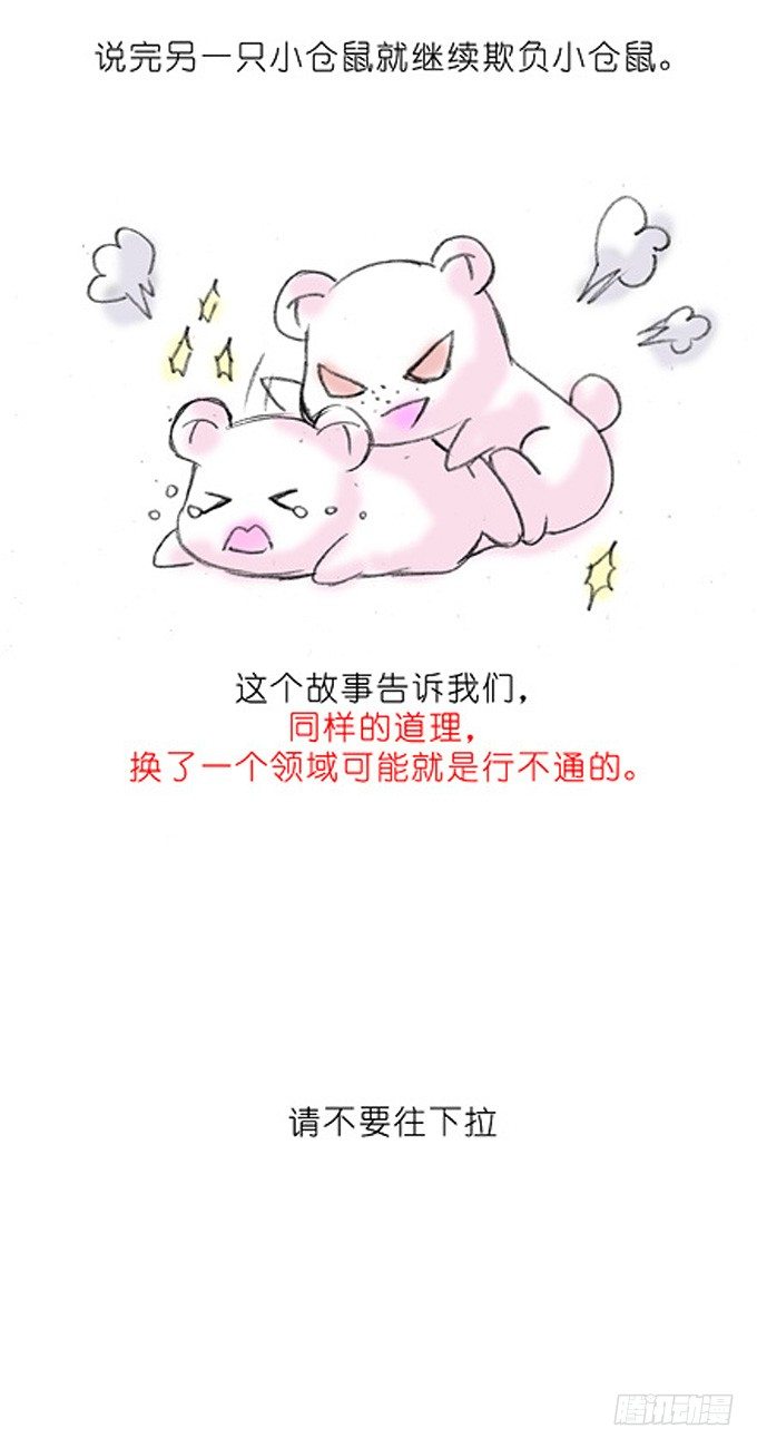番外：飞星喵3.你们喵不懂3