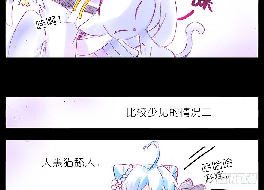 番外：忽然养只猫 六5