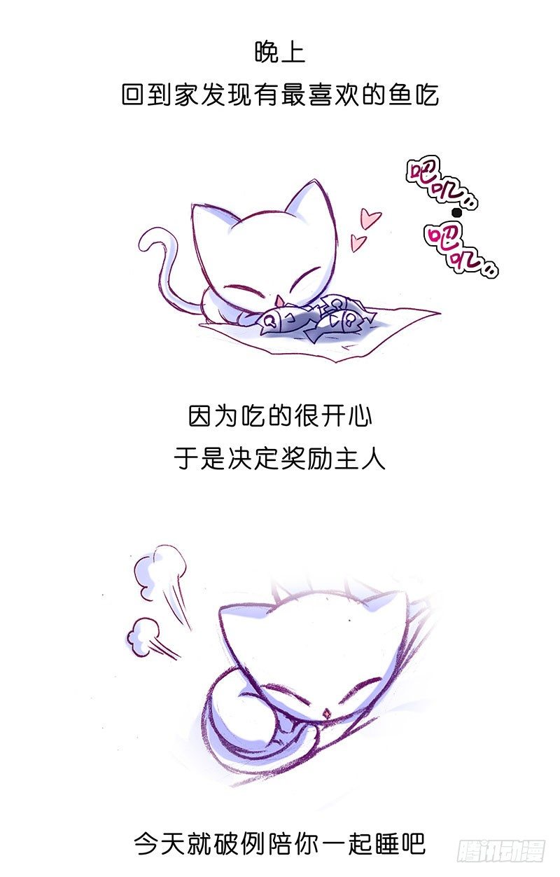 番外：飞星喵6-15合集18