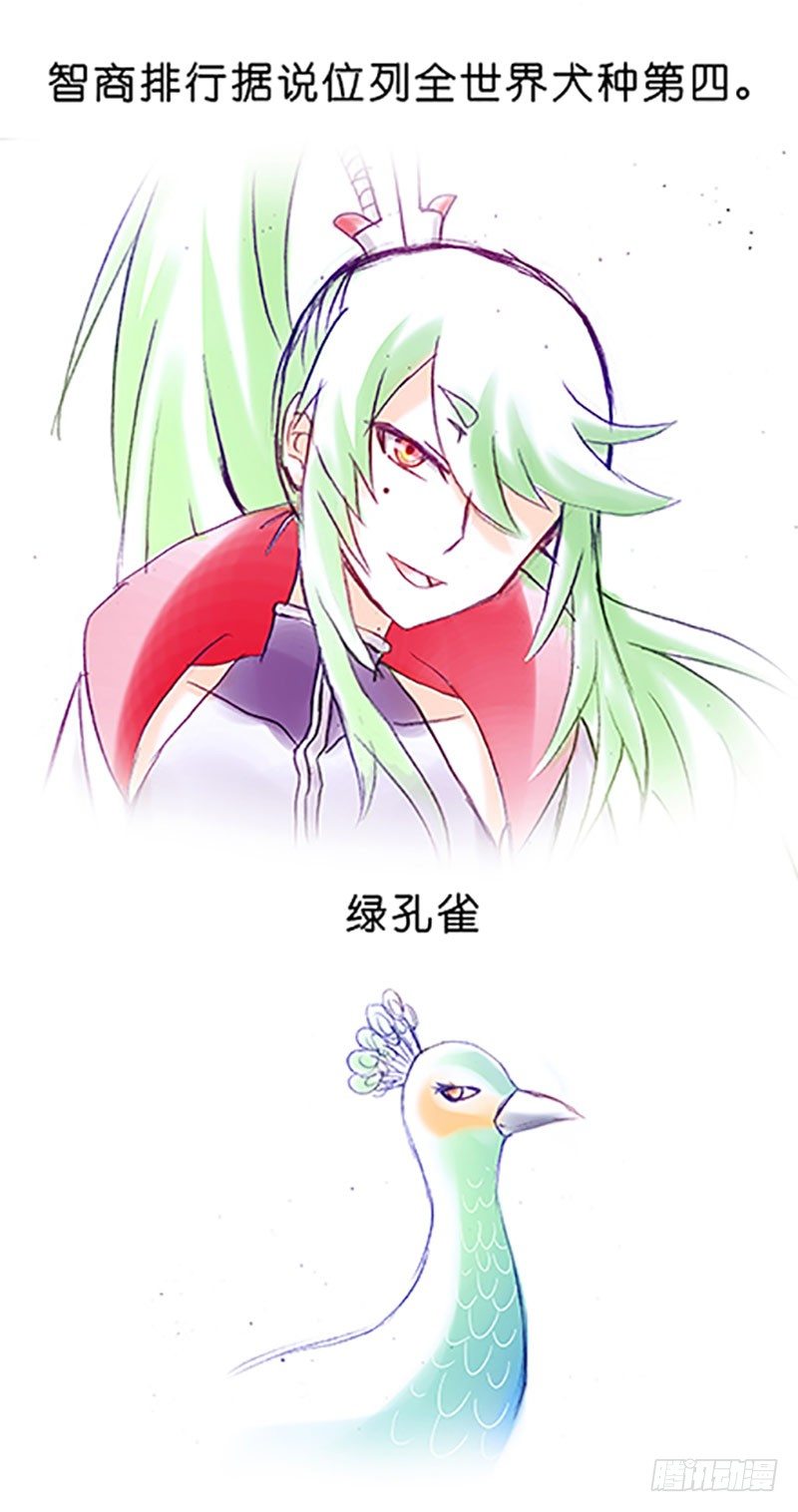 番外：飞星喵6-15合集11