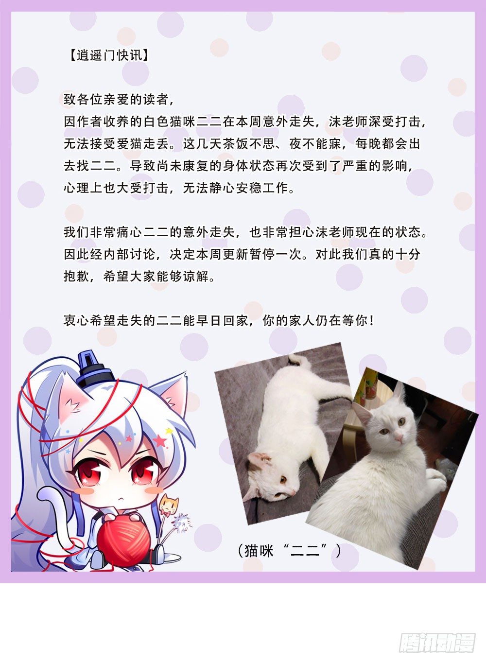 寻猫啓示0