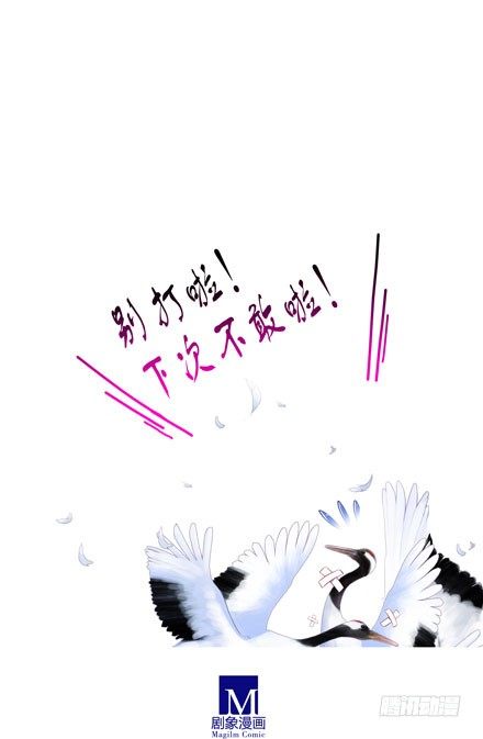 第52坑 我回来了18