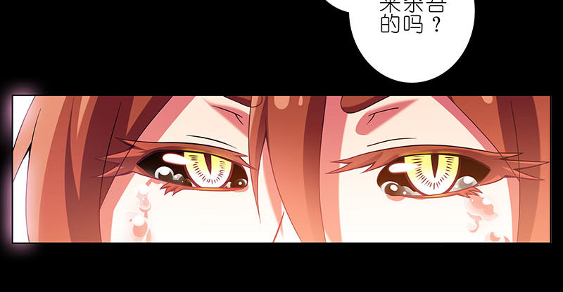 第270-273坑 无助37