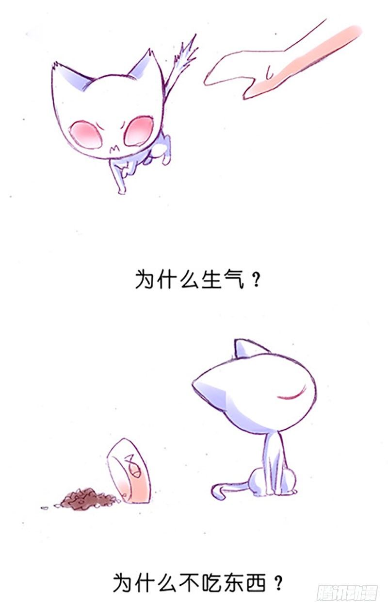 番外：飞星喵6-15合集3