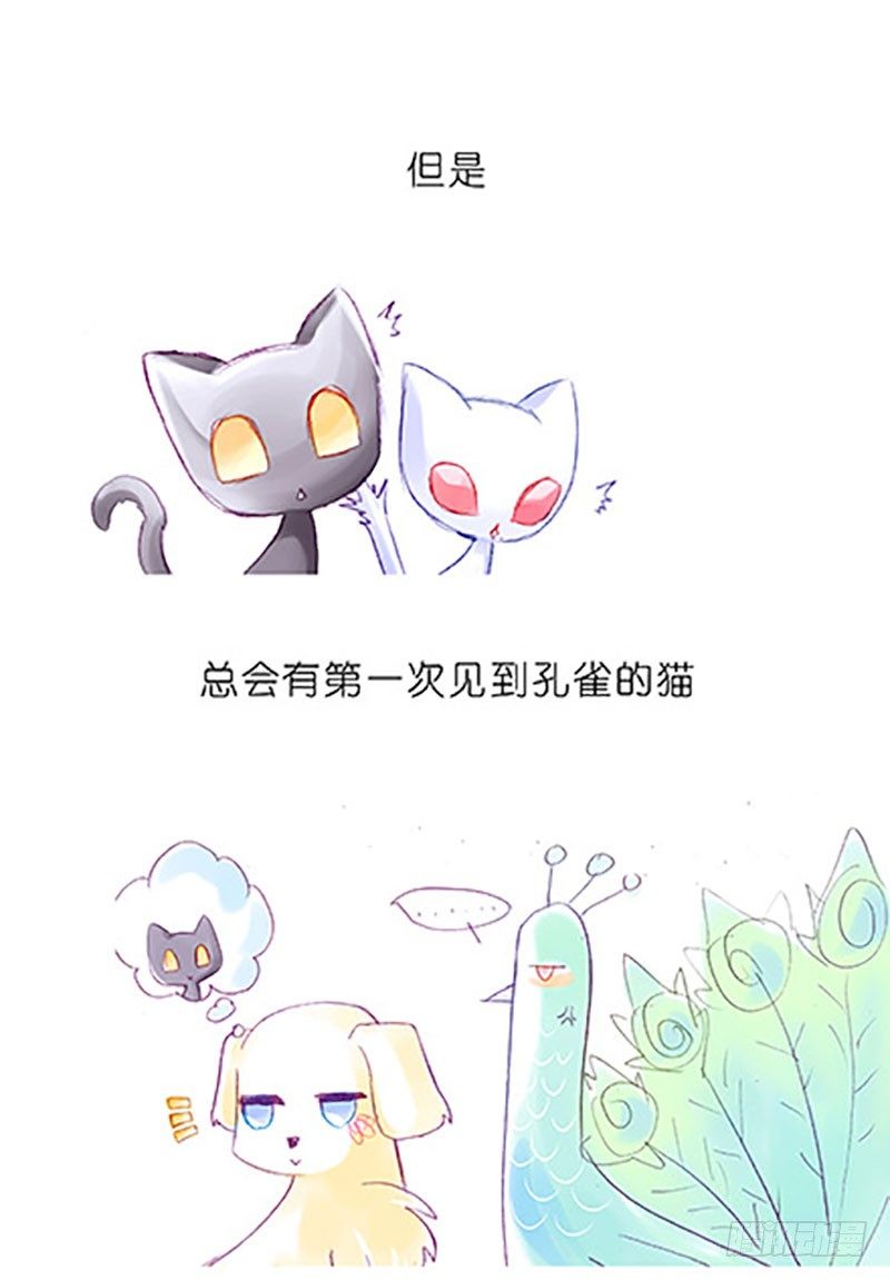 番外：飞星喵6-15合集31