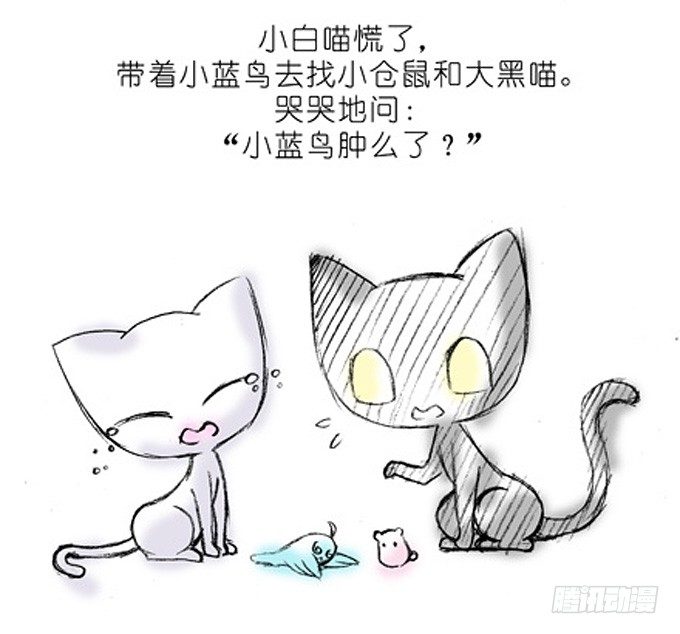 番外：飞星喵4.我好喜欢小蓝鸟的4