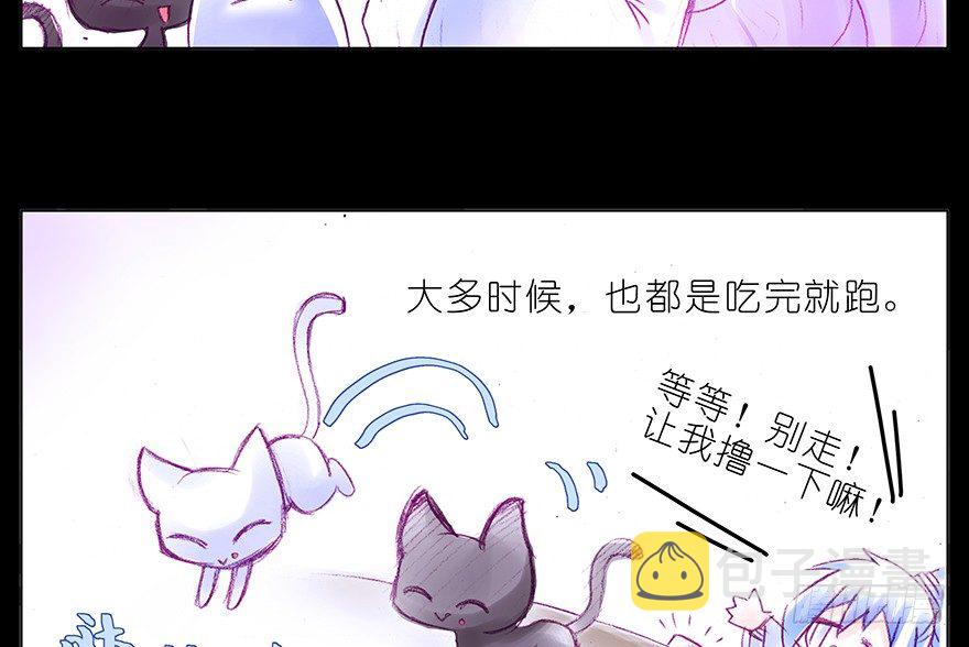 番外：忽然养只猫 六3