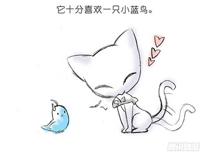 番外：飞星喵2.爲什麽不喜欢我？1