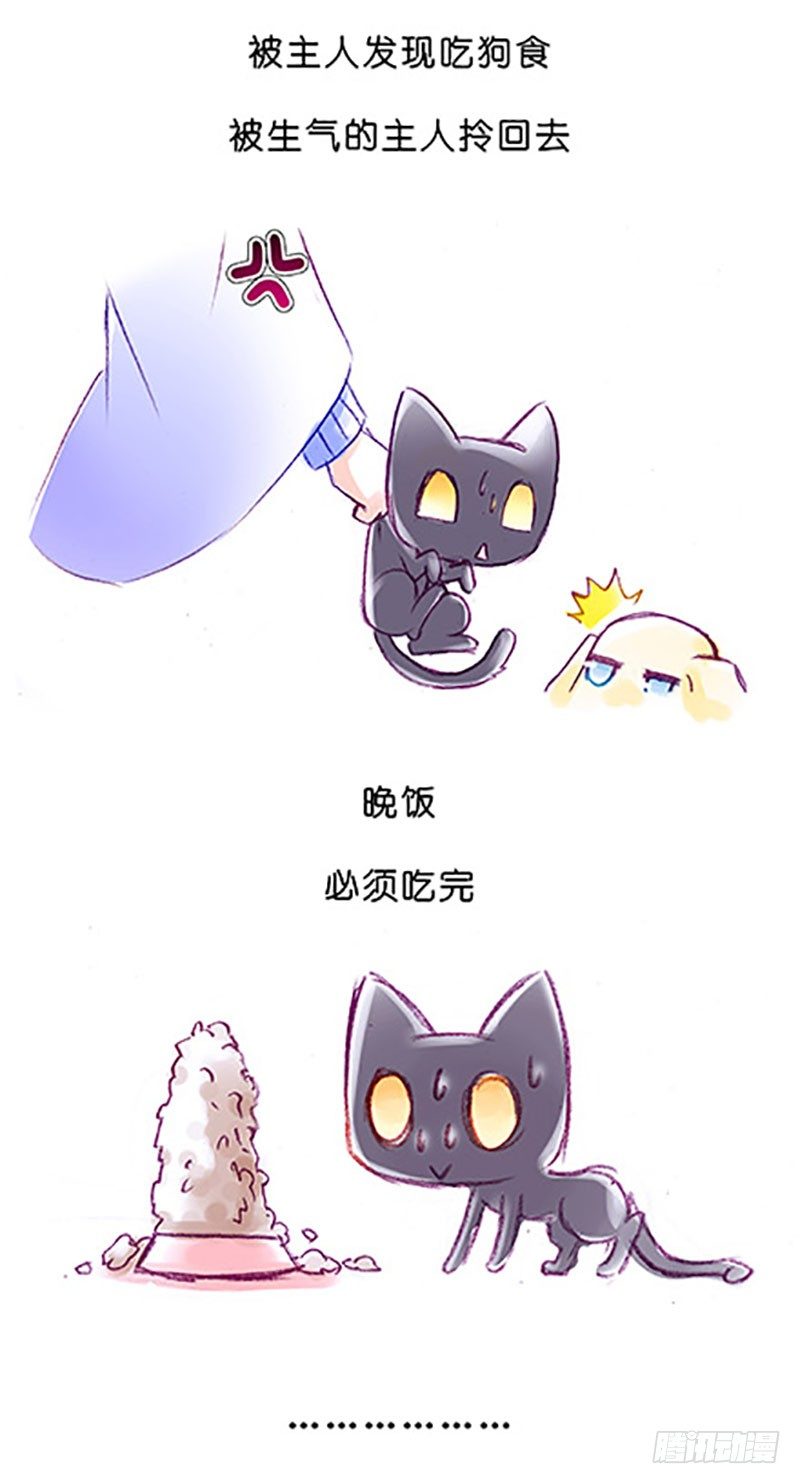 番外：飞星喵6-15合集24