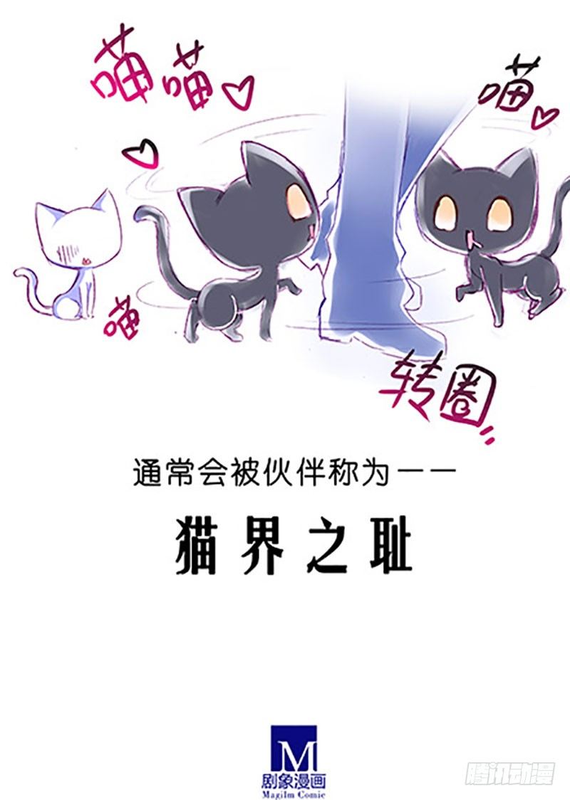 番外：飞星喵6-15合集6