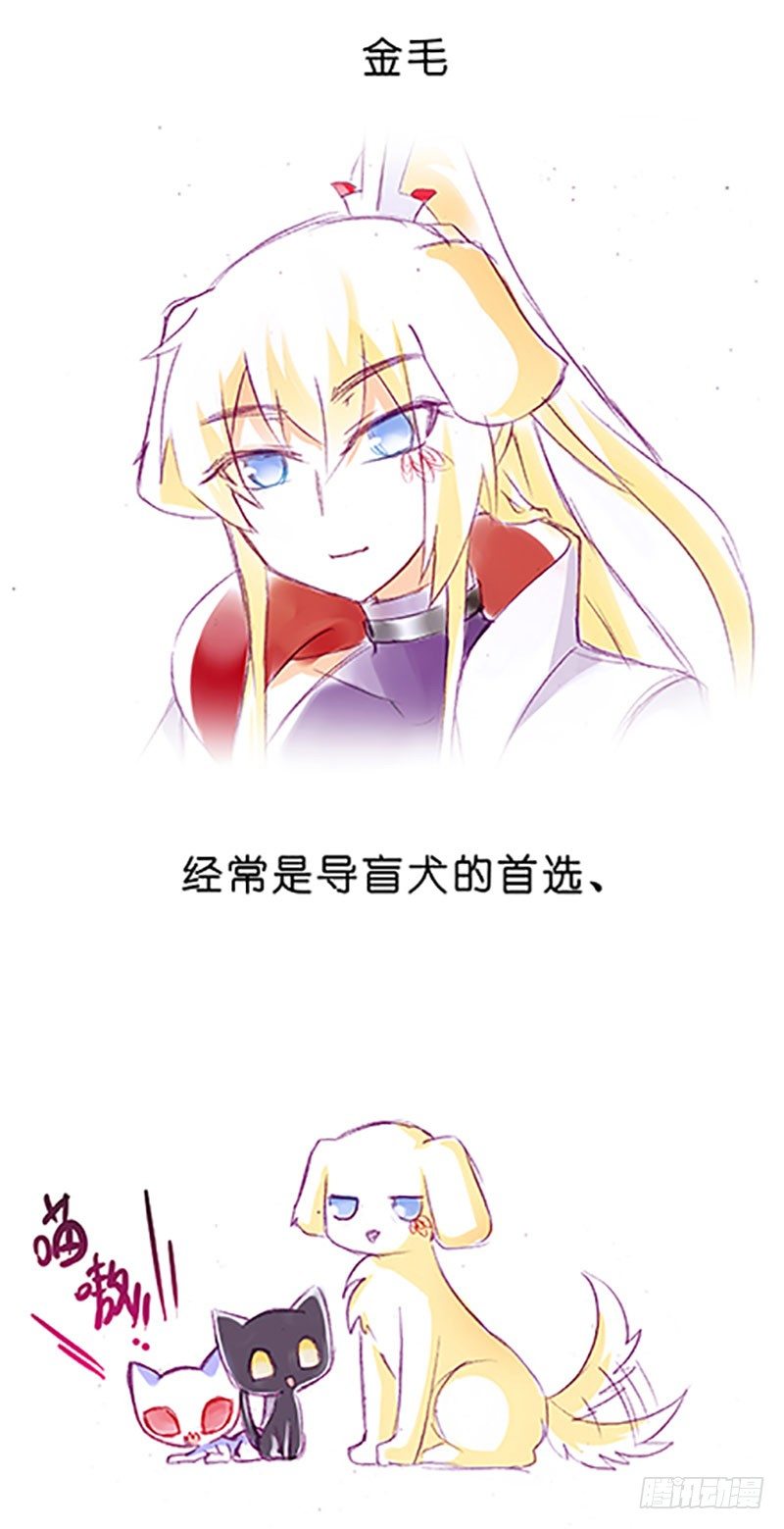 番外：飞星喵6-15合集10