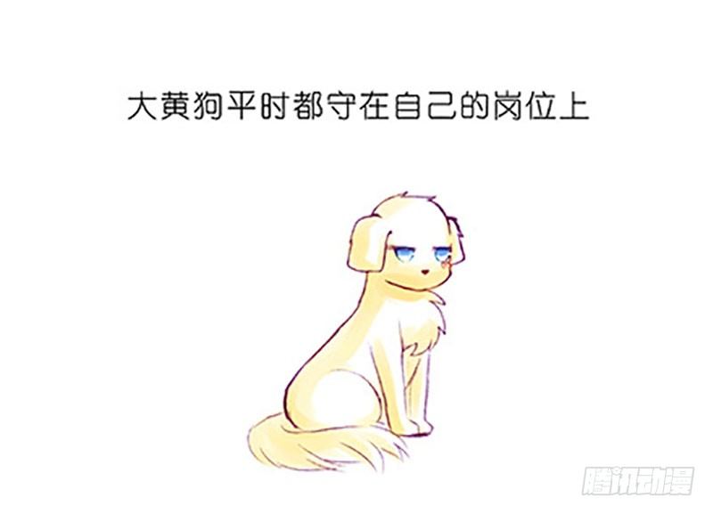 番外：飞星喵6-15合集28