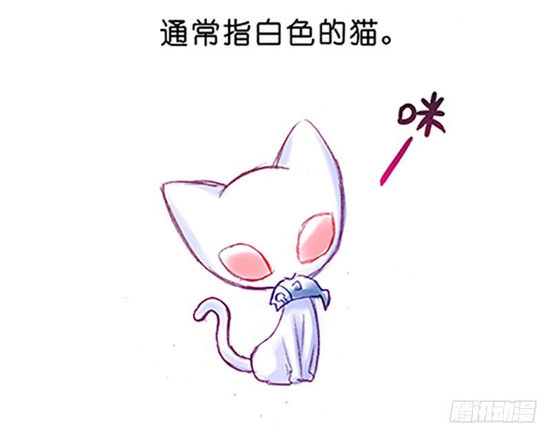 番外：飞星喵6-15合集8