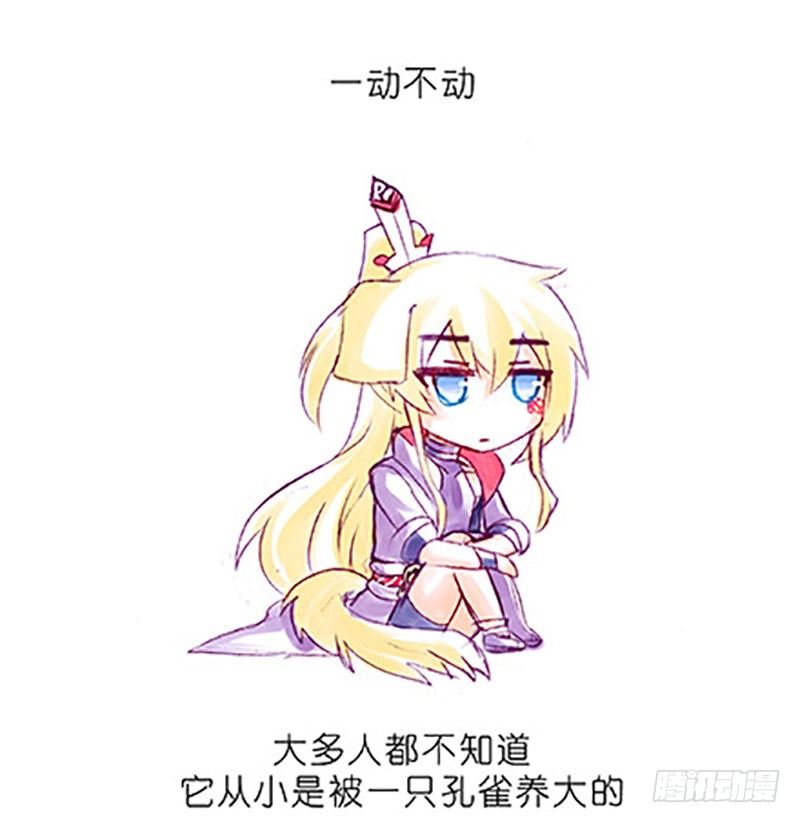 番外：飞星喵6-15合集29