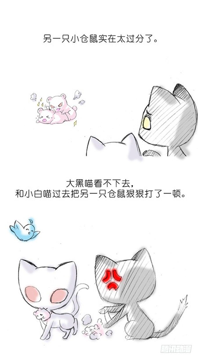 番外：飞星喵3.你们喵不懂4