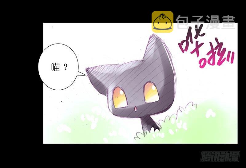 番外：忽然养只猫35
