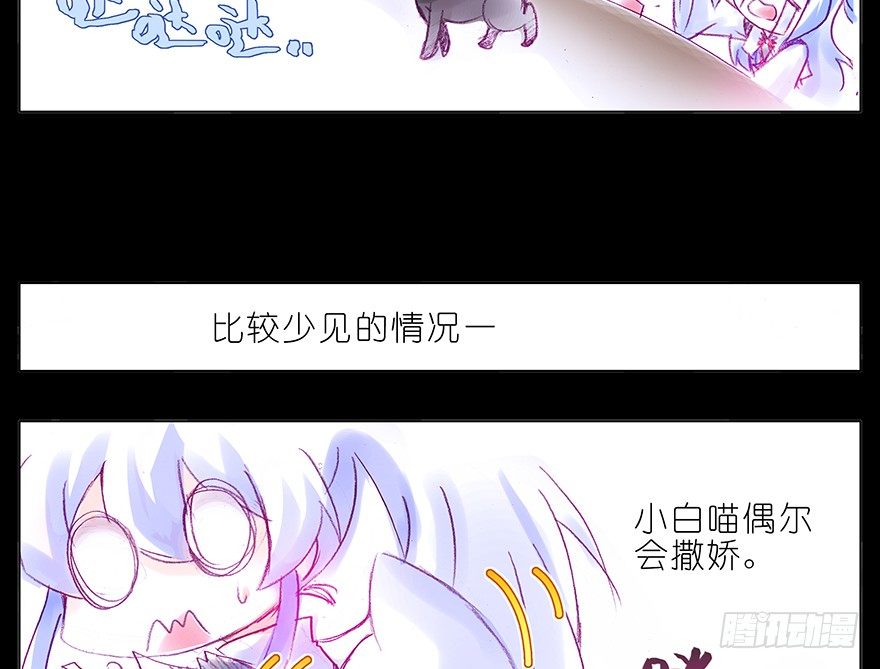 番外：忽然养只猫 六4