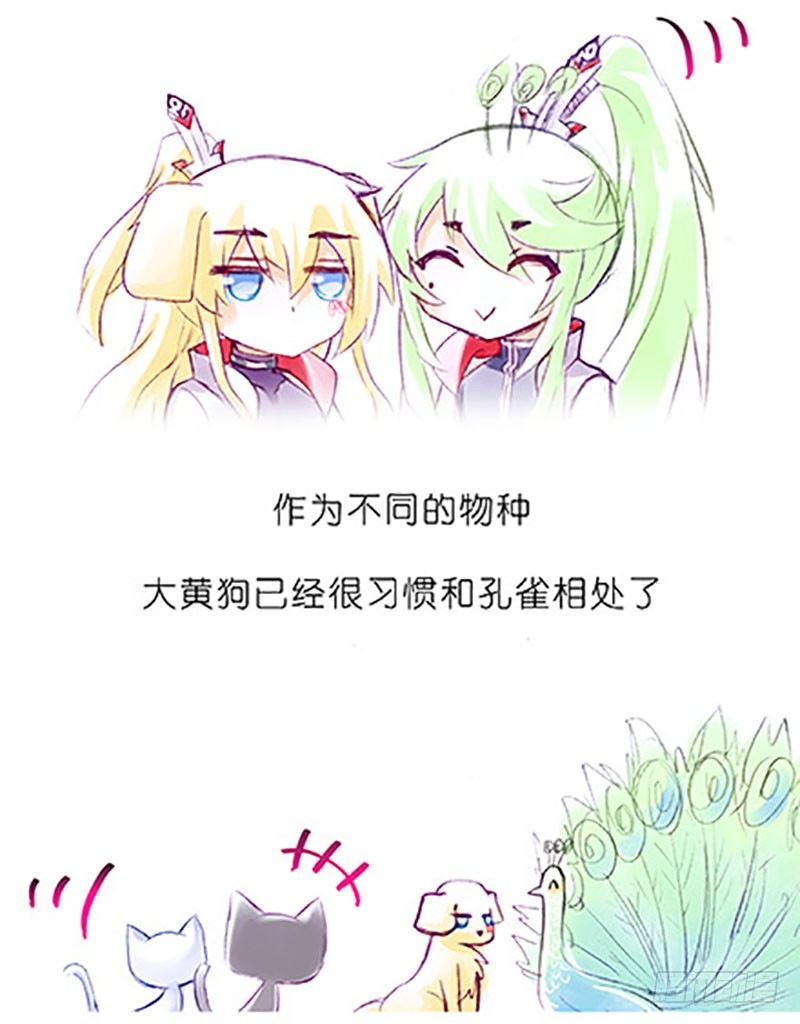 番外：飞星喵6-15合集30