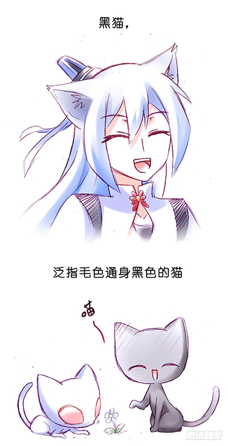 番外：飞星喵6-15合集9