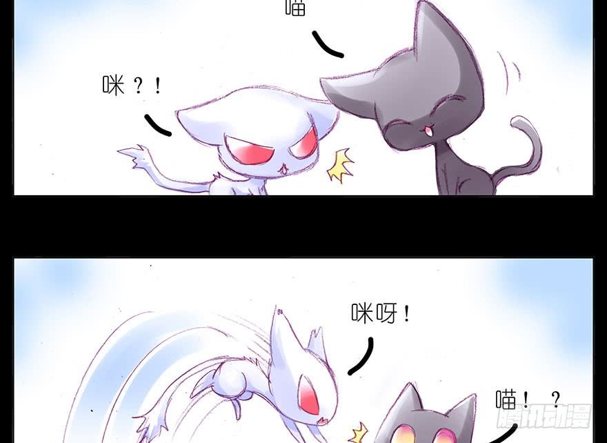 番外：忽然养只猫 八2