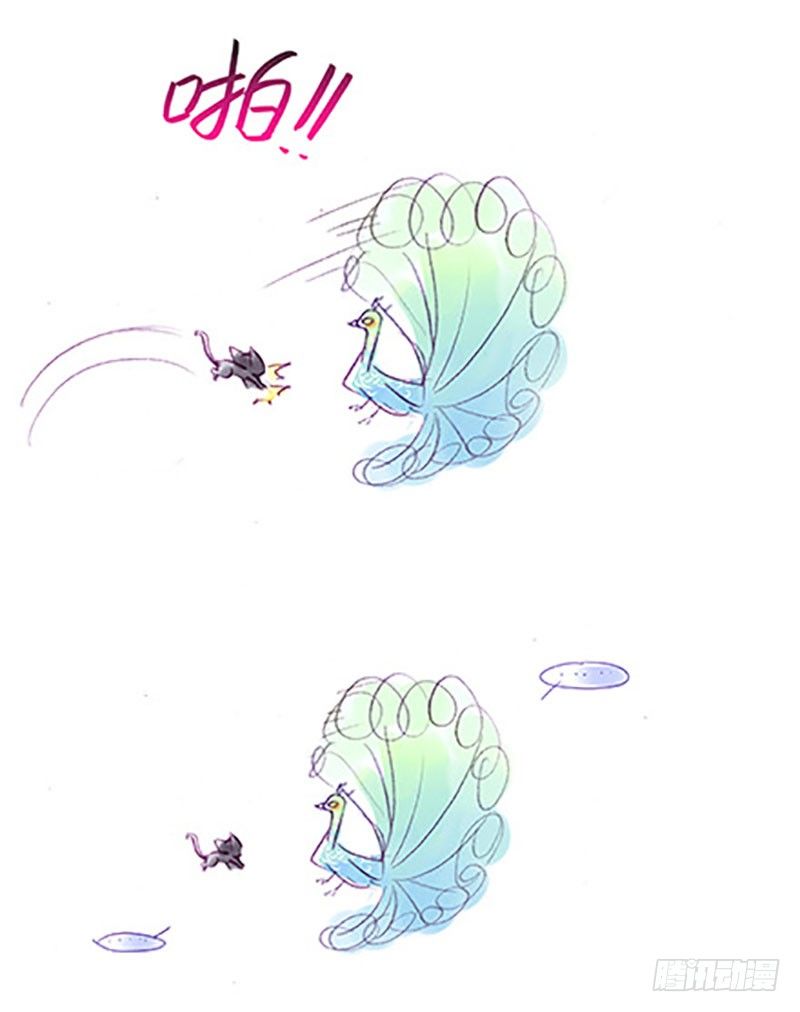 番外：飞星喵6-15合集33
