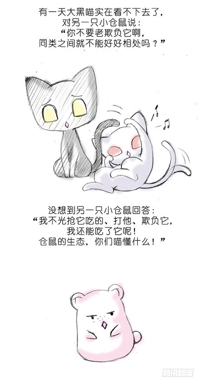 番外：飞星喵3.你们喵不懂2