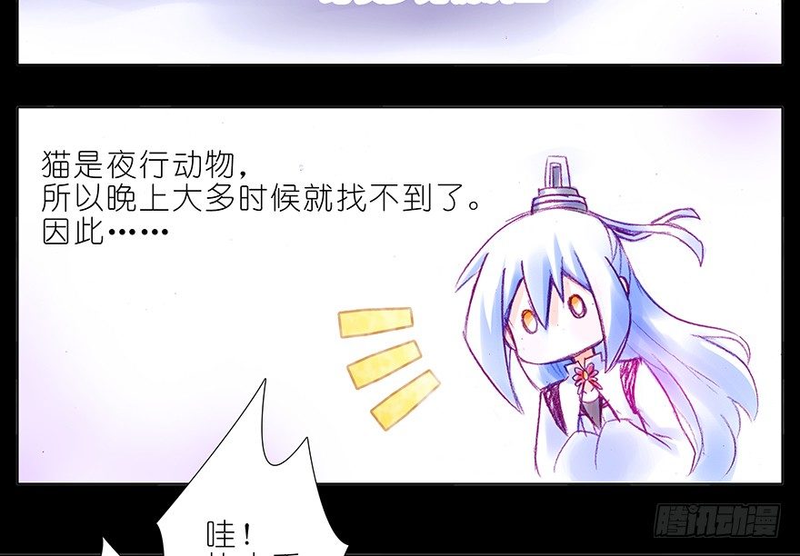 番外：忽然养只猫 六7