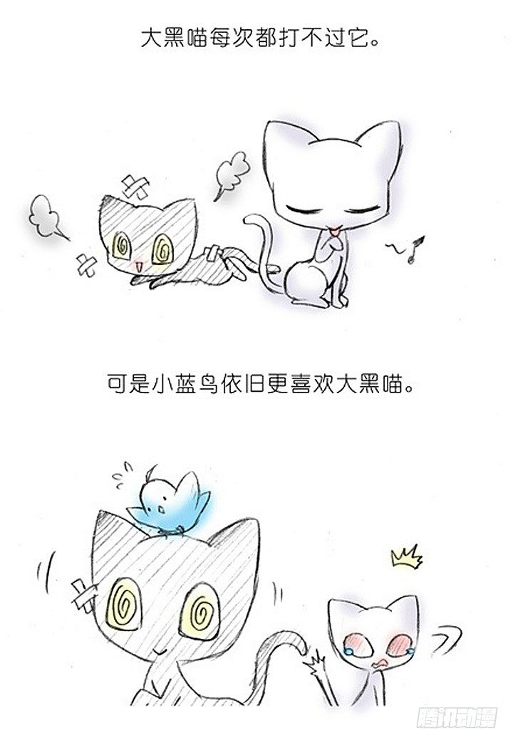 番外：飞星喵2.爲什麽不喜欢我？3