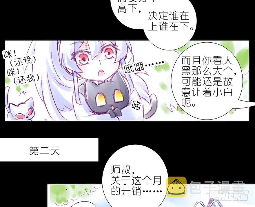 番外：忽然养只猫 八6
