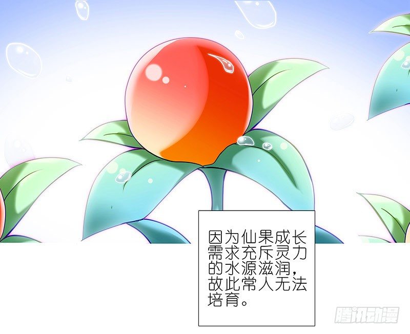 番外：修真界大百科一6