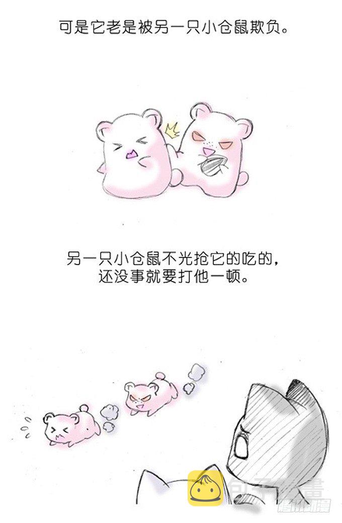 番外：飞星喵3.你们喵不懂1