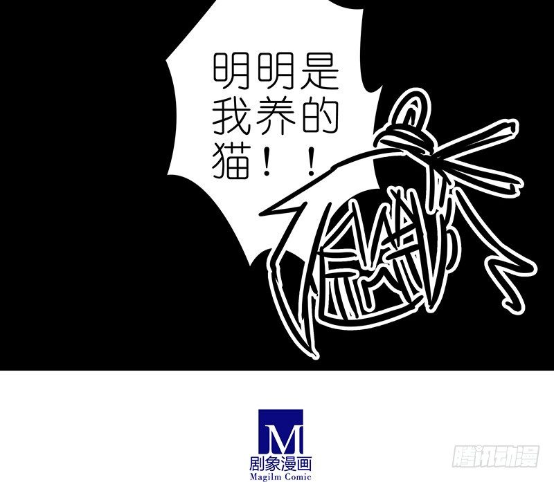 番外：忽然养只猫4-513