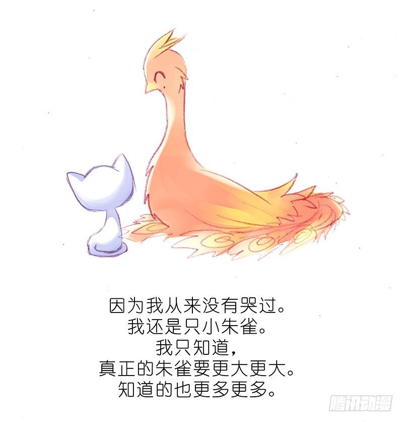 番外：飞星喵6-15合集43