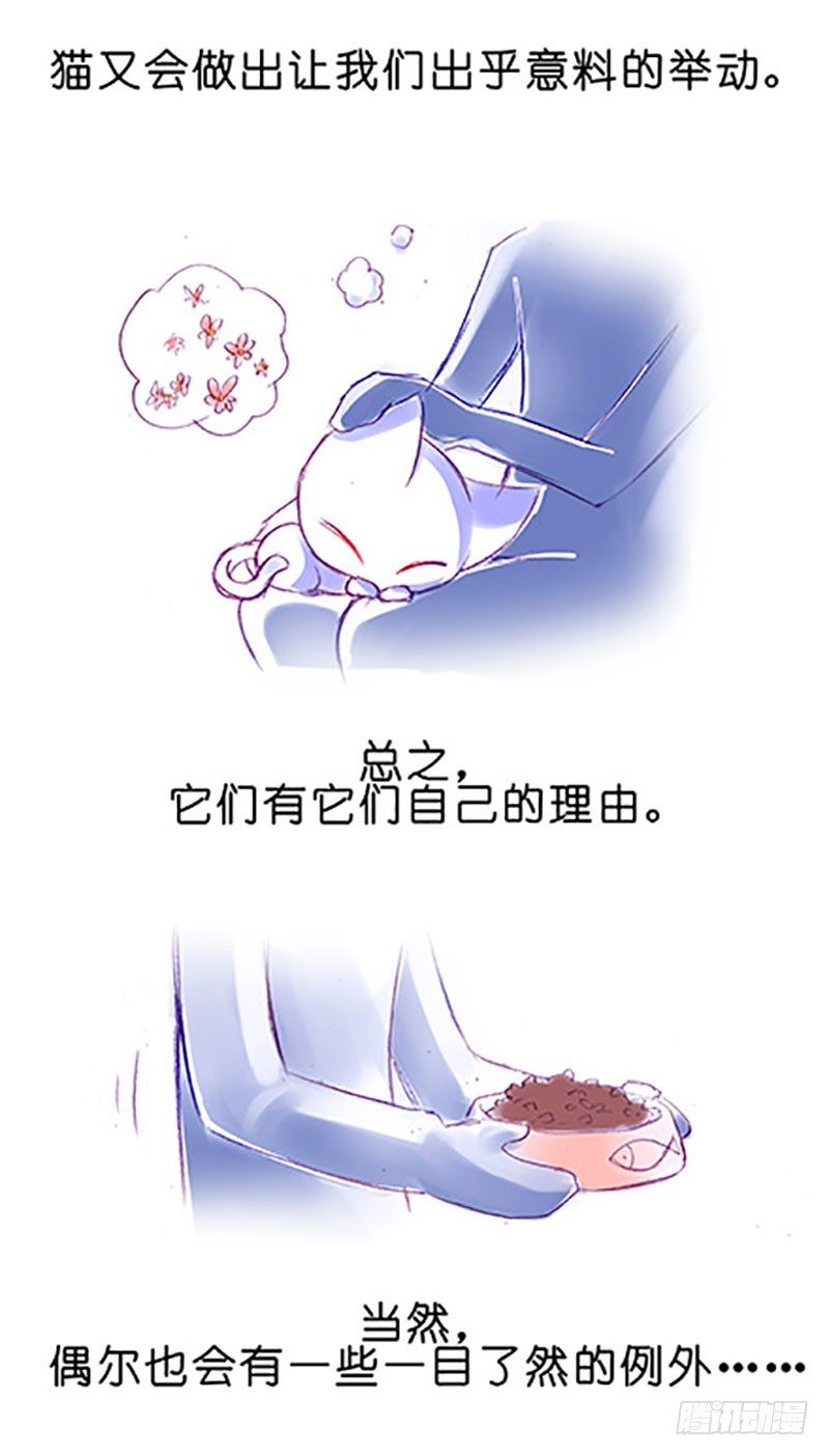 番外：飞星喵6-15合集5