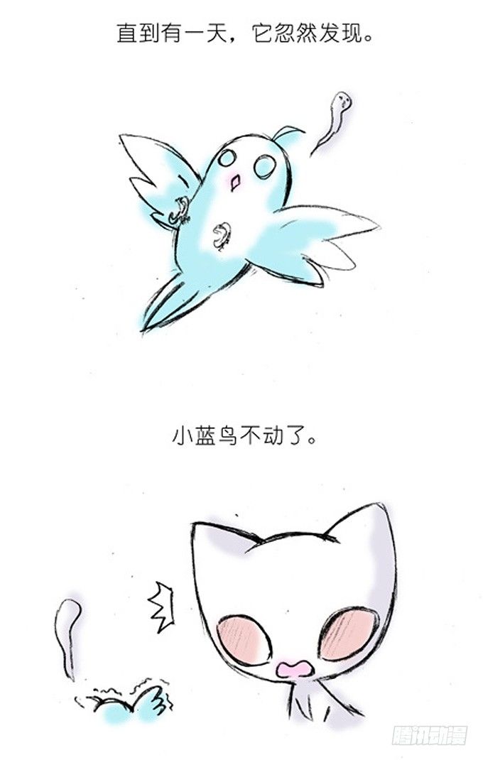番外：飞星喵4.我好喜欢小蓝鸟的3