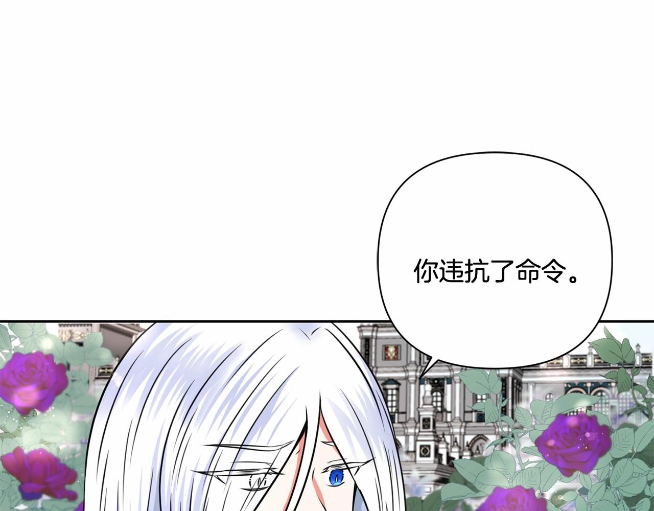 第23话 初见魔法师！5
