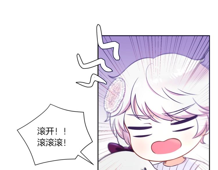 序章 幼崽大佬想要当皇帝？52