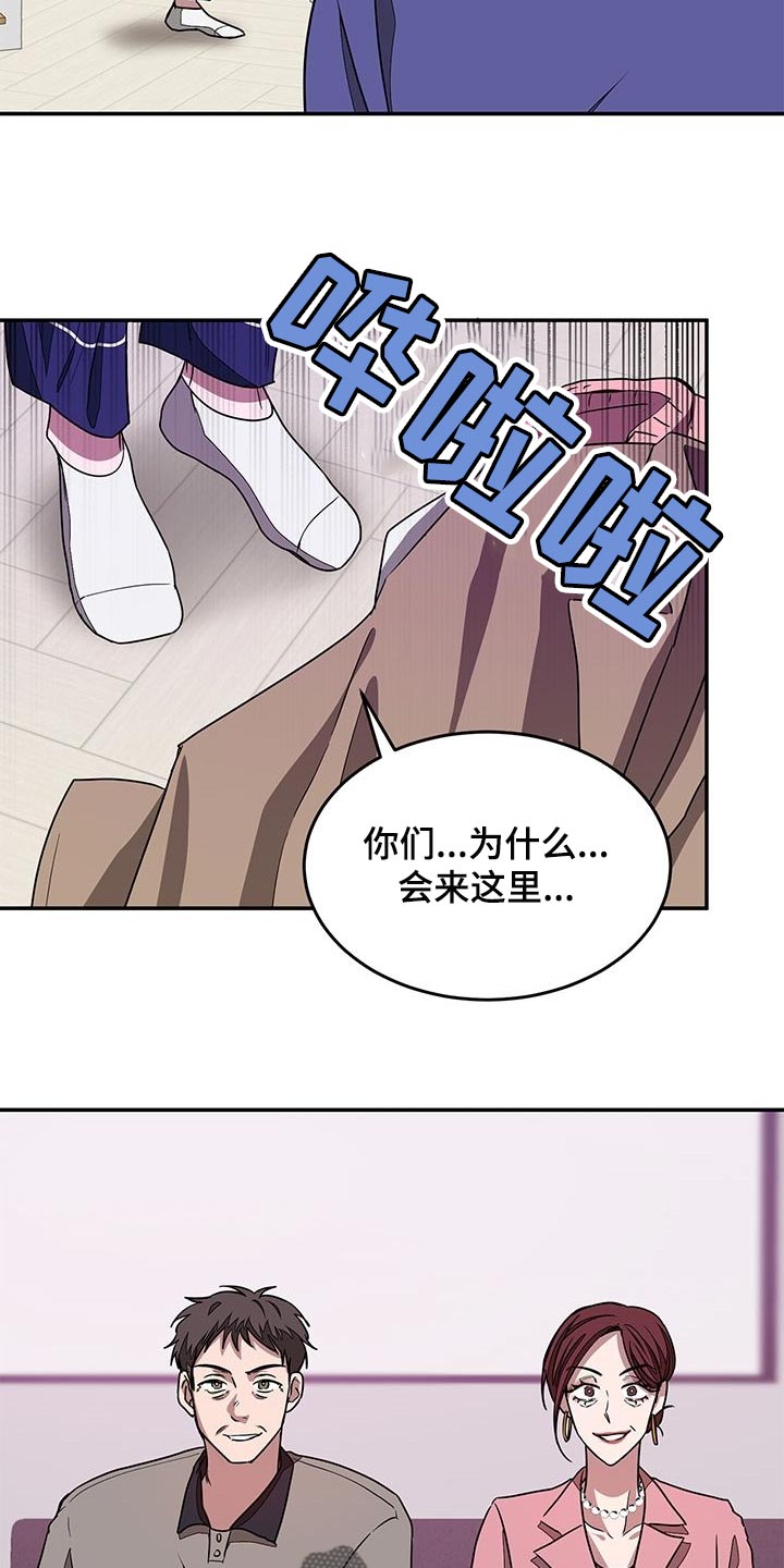 第41章：不速之客19