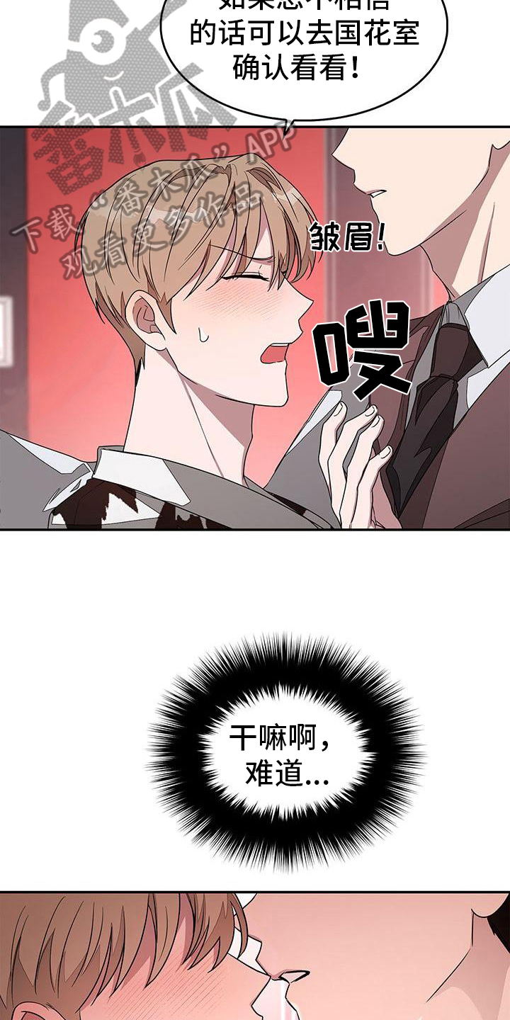 第16章：巧遇17