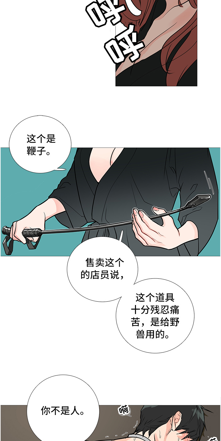 第33章：好玩吗11