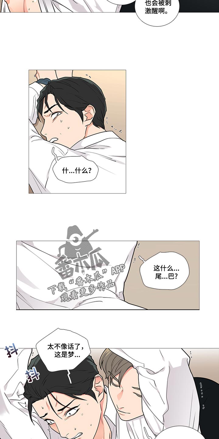 第85章：这是梦9