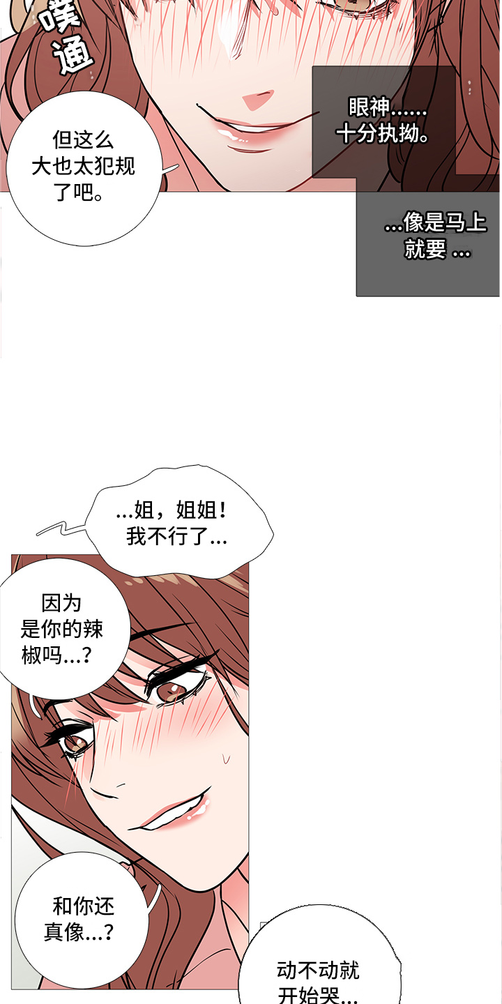 第22章：奖励6