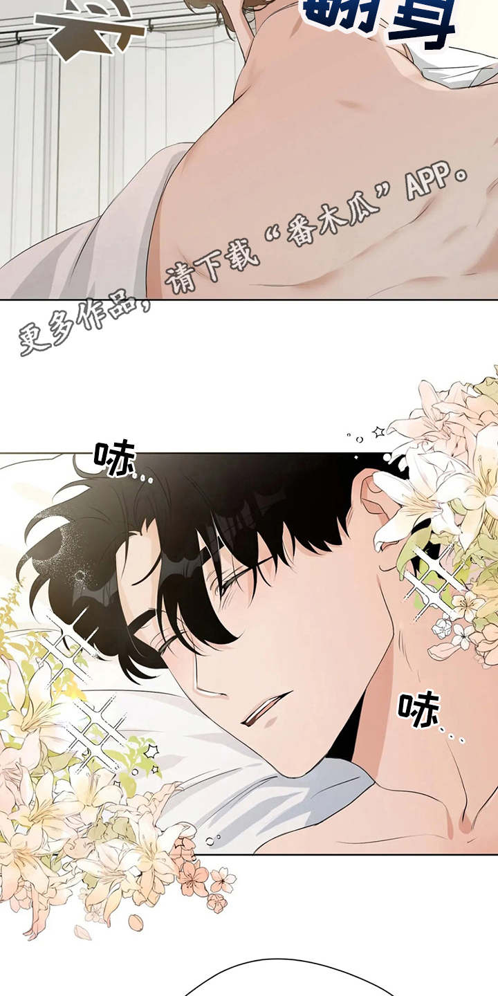 第8章：没有印象3