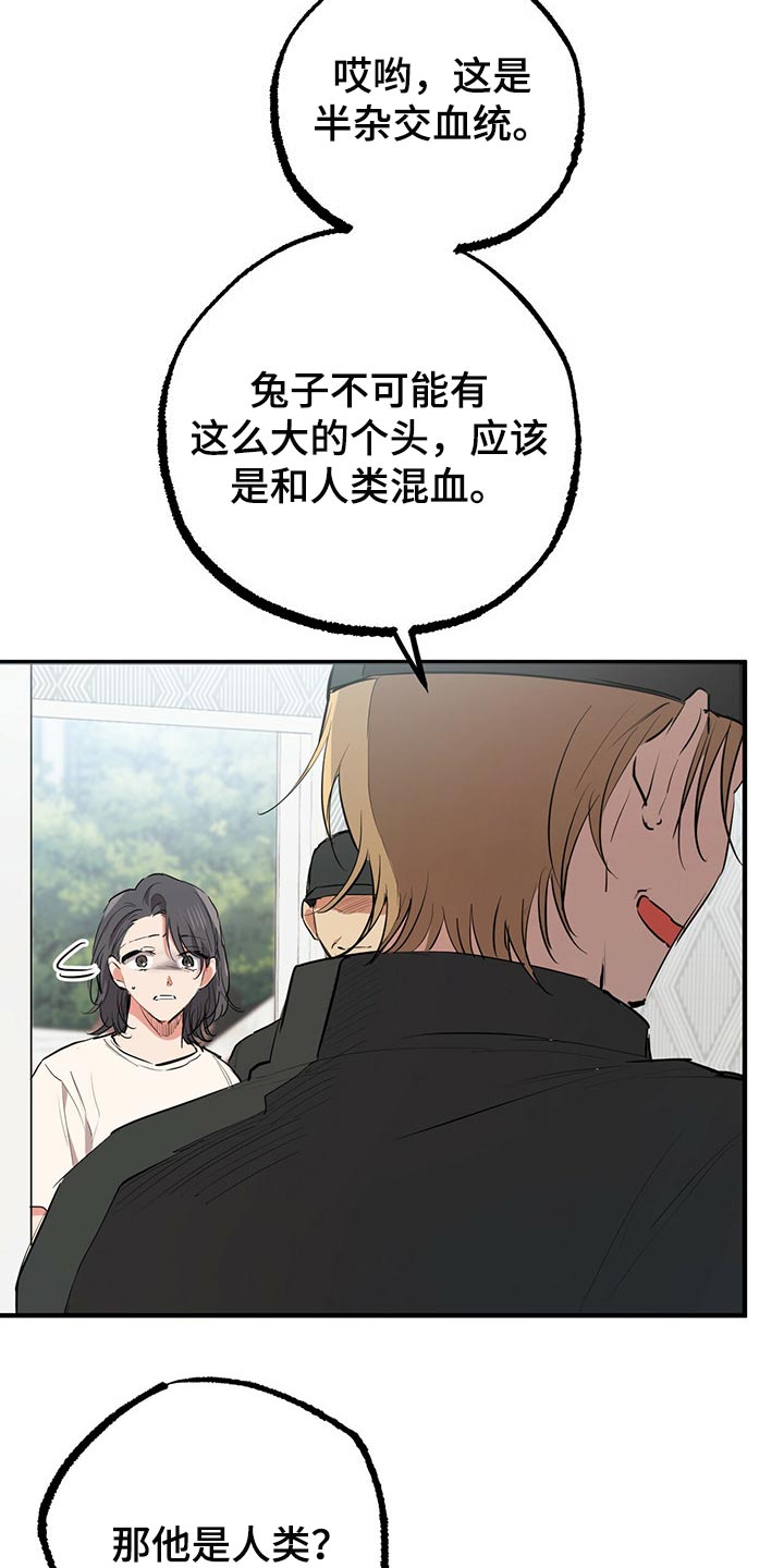 第97章：卖个好价钱30