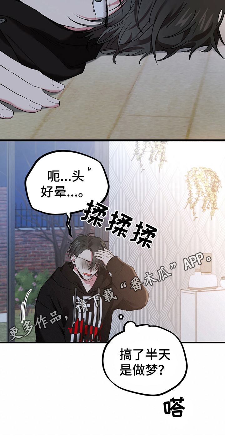 第17章：关联梦境21
