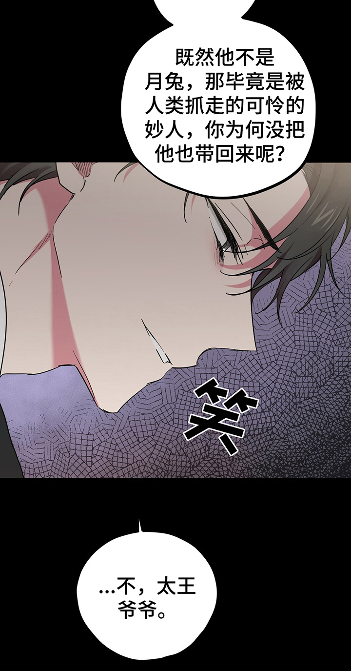 第17章：关联梦境10